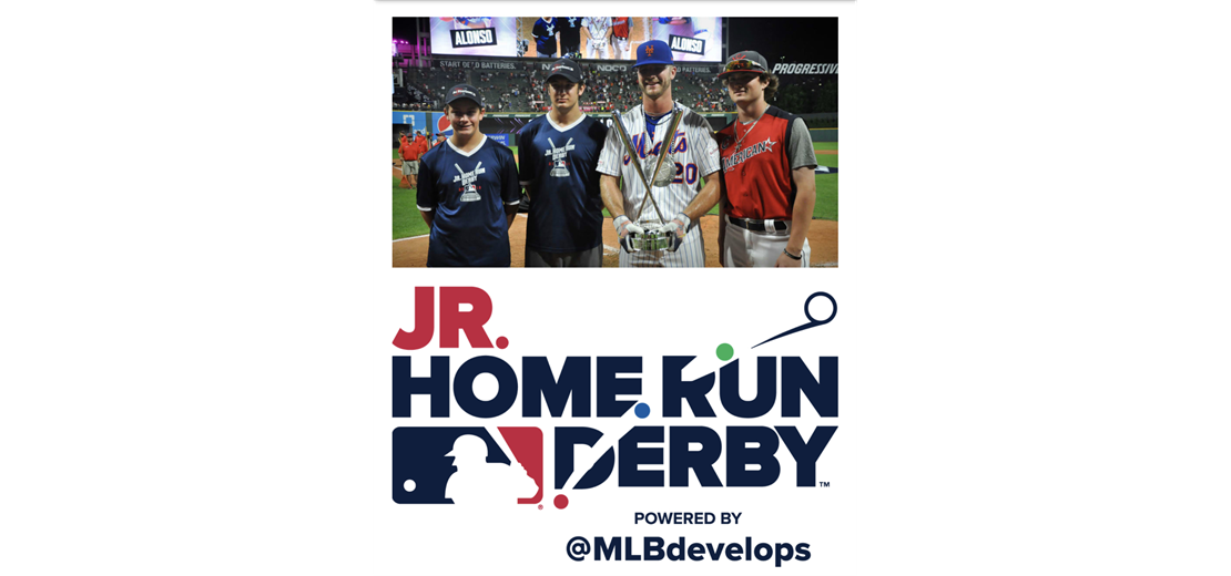 Bullskin Township Little League Home