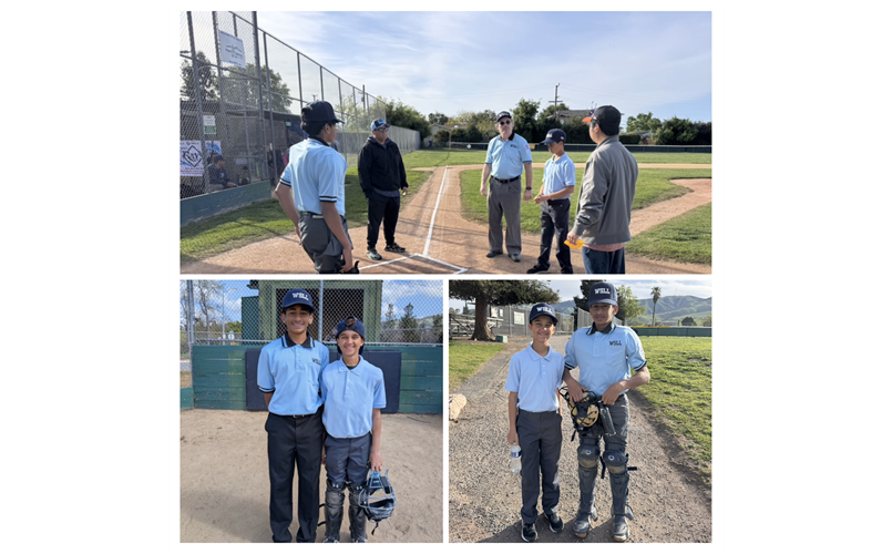 WSLL Junior Umpire Program
