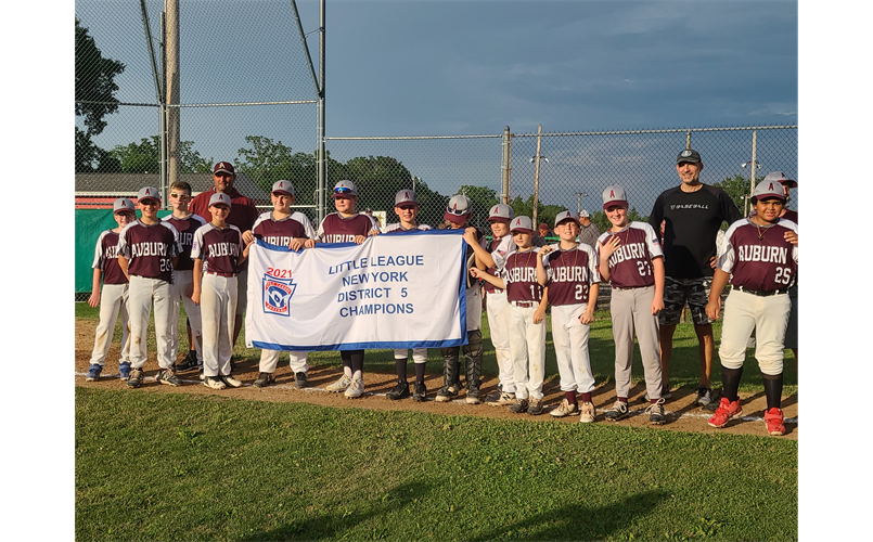 Auburn Little League (NY) > Home