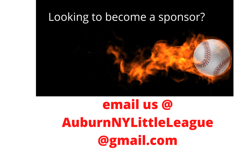 SPONSORSHIP OPPORTUNITIES