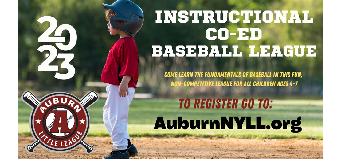 Youth Baseball and Tee Ball Leagues