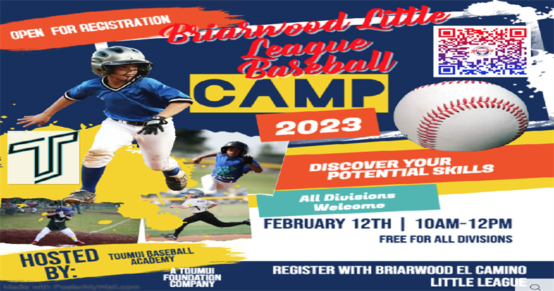 Briarwood El Camino Baseball Camp