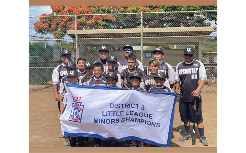 District 3 Little League Minor Champions