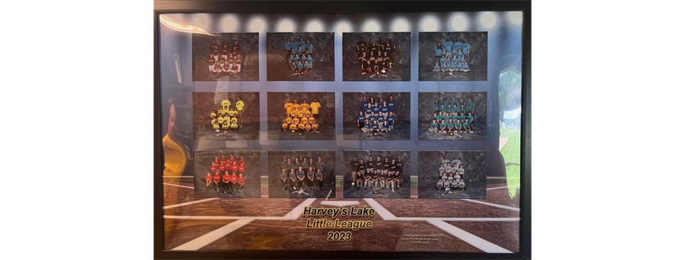 HLLL - 2023 Teams