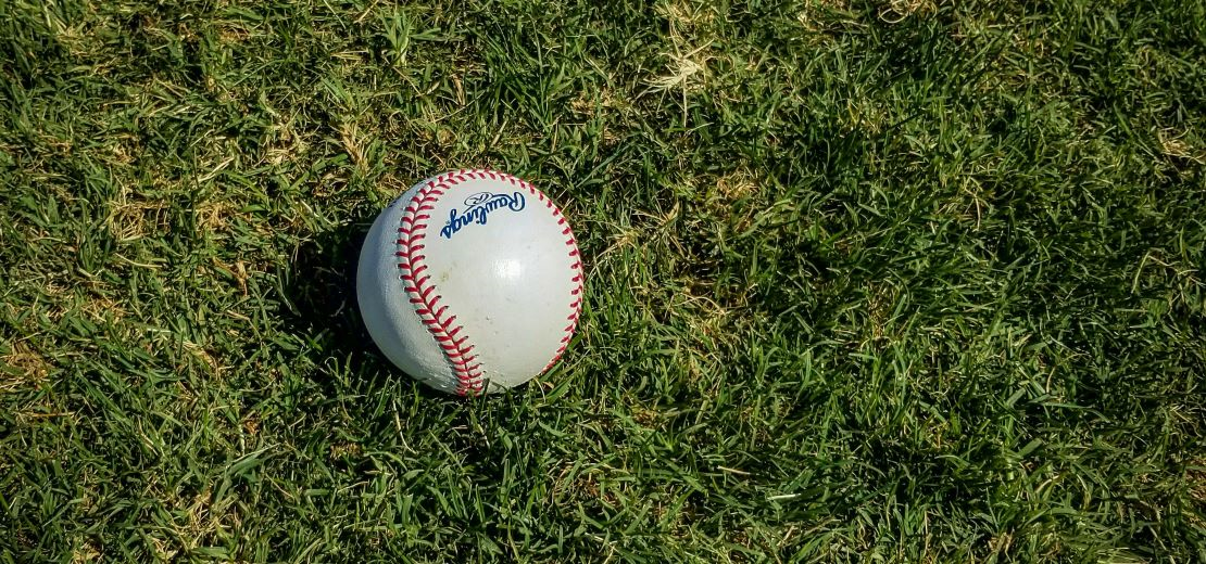 Thank you for another great year of Little League baseball!