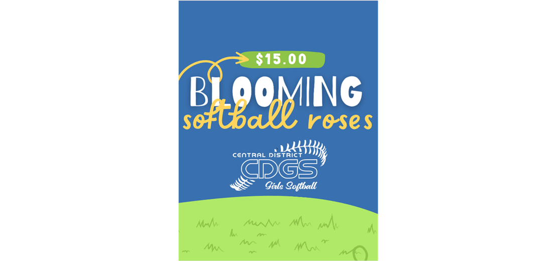Special Gift for the Softball Player in your life!