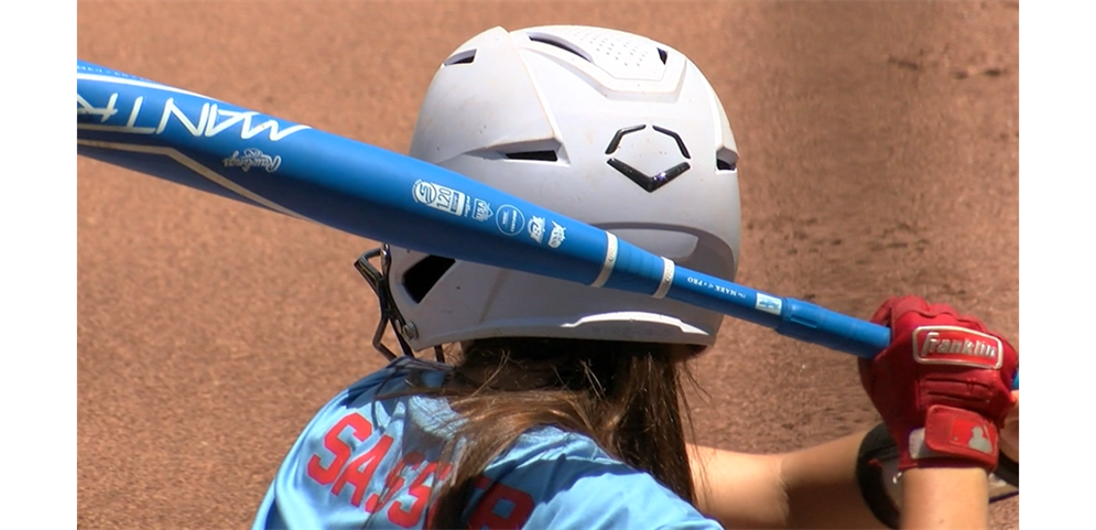 Click here before you buy your Softball Bat!!!