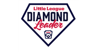 Diamond Leader Training Program