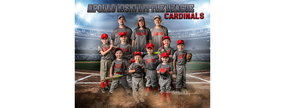 Cardinals