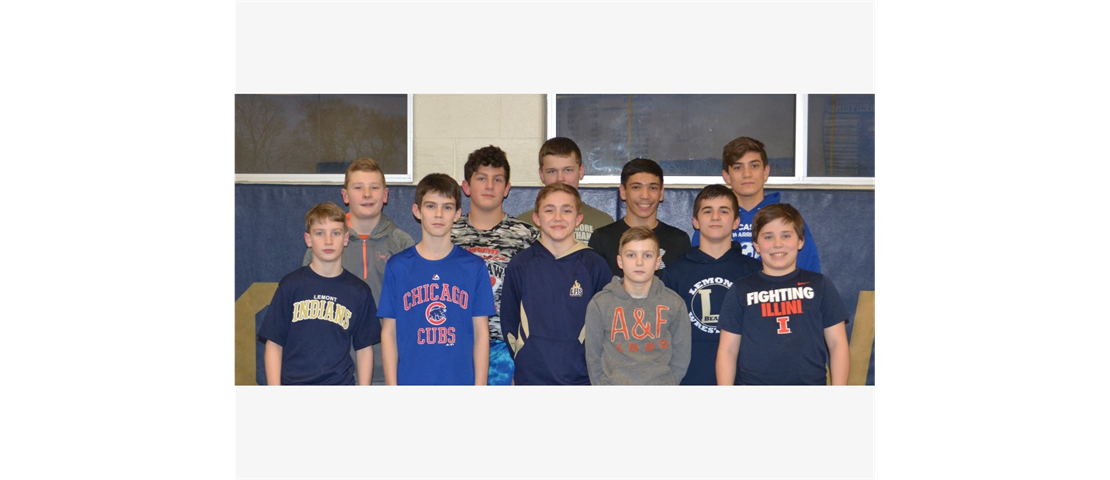 2019 Lemont Bears State Qualifiers