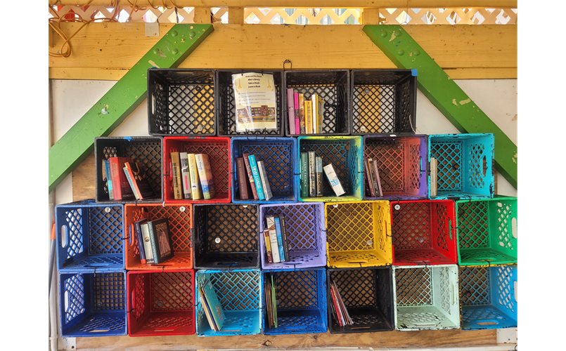 Mini Library at Community Park