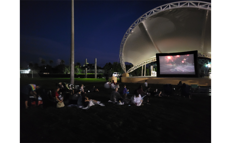 Movie Night in Park Saturdays 7pm