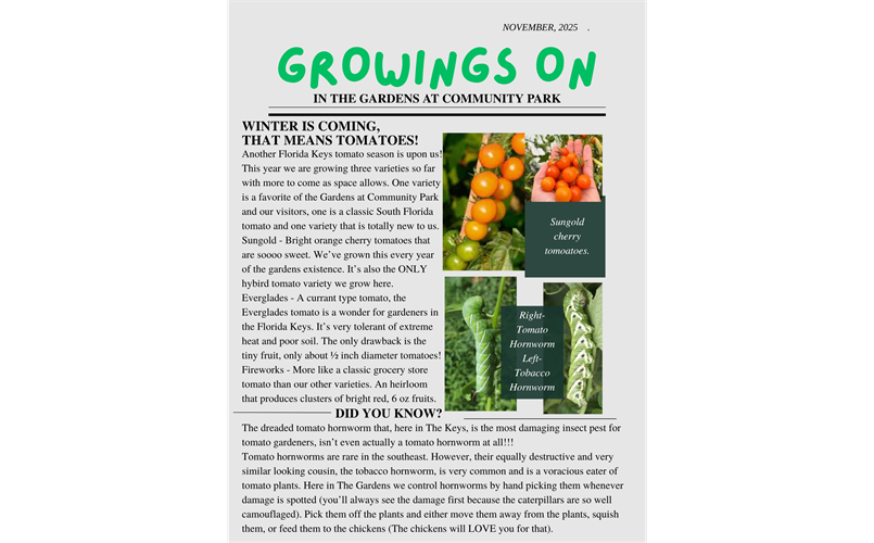 Community Gardens Newsletter 