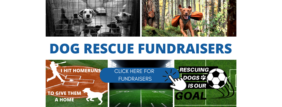 Dog Rescue Fundraisers