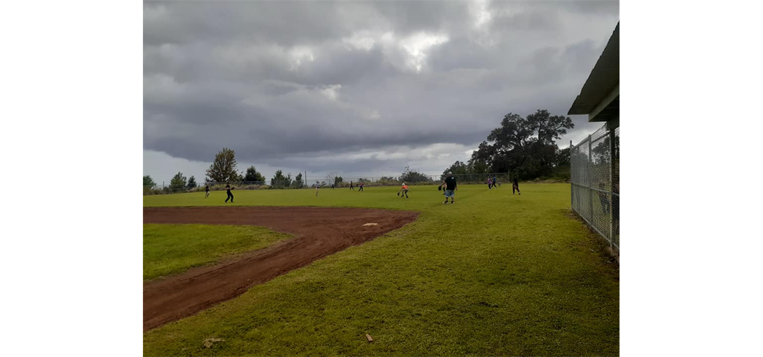 Play Ball