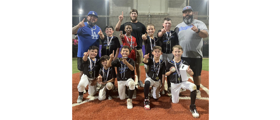 Snyder Little League