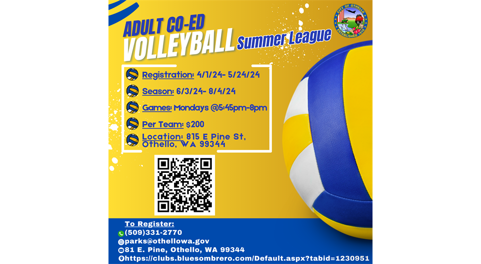 Join Co-Ed Adult Volleyball