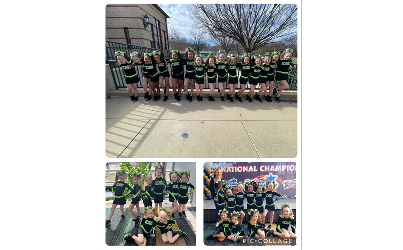 Cutest teams in town!  Boss Babies, Toxic Tinys and Mighty Minis.