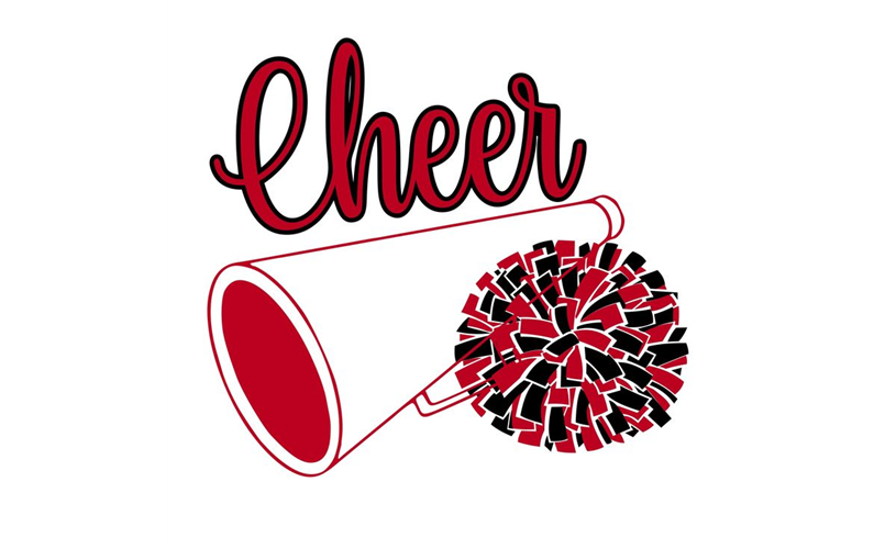 Cheer Pom