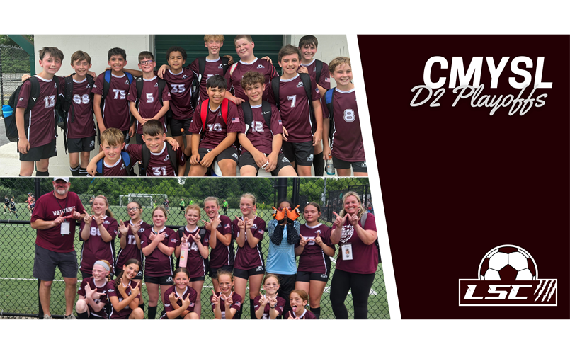 LSC D2 Playoffs