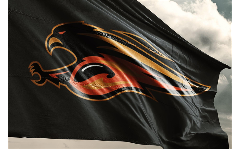 We are THE 478 Flames
