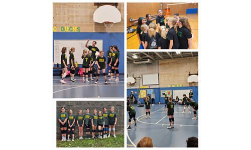 Viking Youth Volleyball (3rd-8th grade girls)