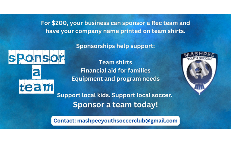 Sponsor a Team!