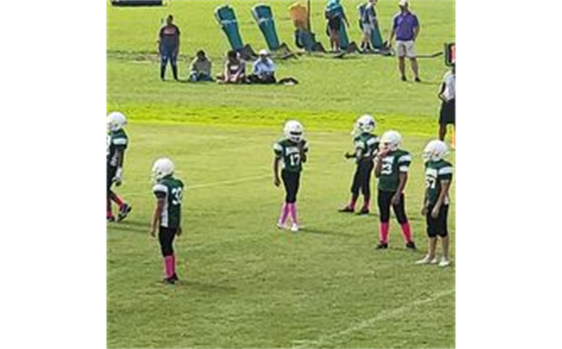 Mamou Youth Sports > Home