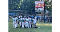 ACLL 8-10s Win AGAIN in Section 4 Playoffs!