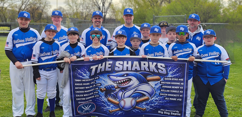 The Sharks - 2026