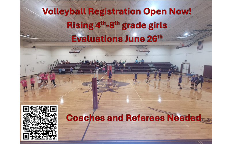 Volleyball