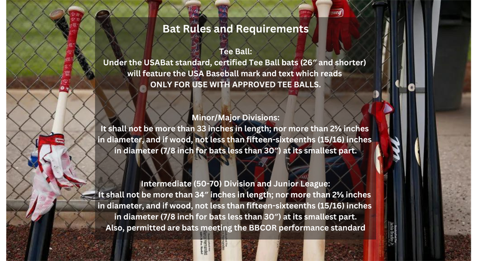 Bat Rules