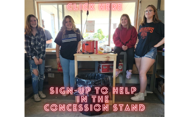 Rogers City Little League > Home