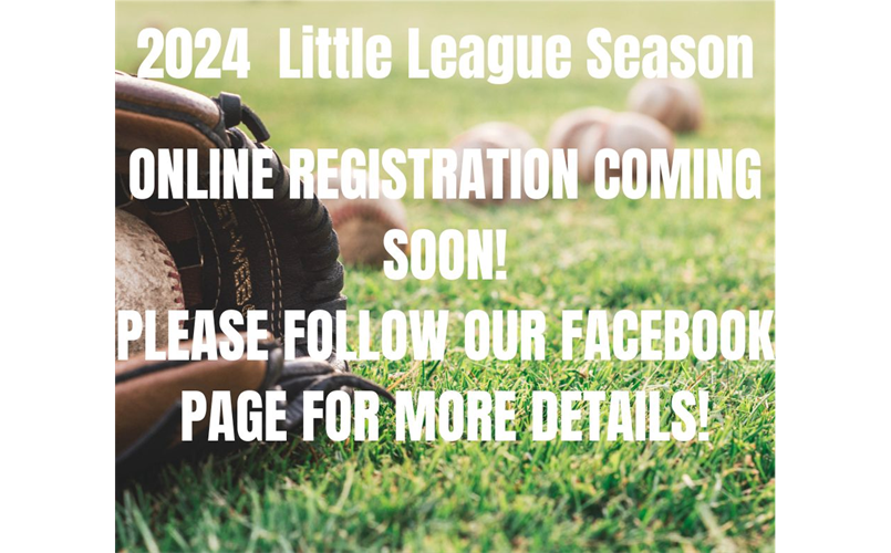 Rogers City Little League > Home