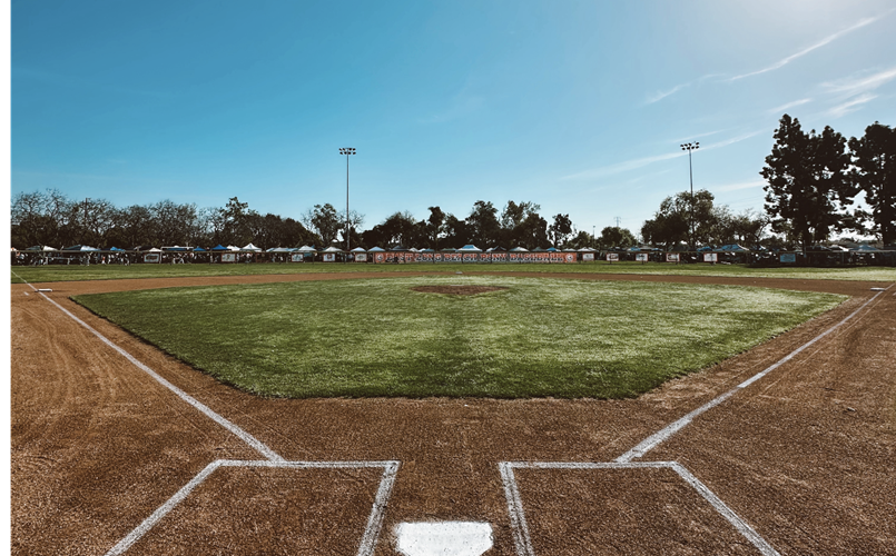 WHO ARE WE ... E L B 